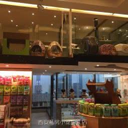 私房小宠(曲江店):西安市雁塔区曲江新区附近