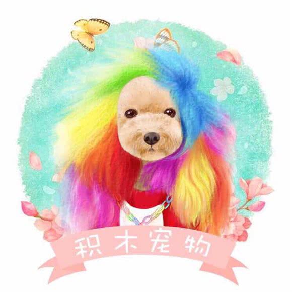 积木宠物狗:西安市雁塔区曲江新区附近