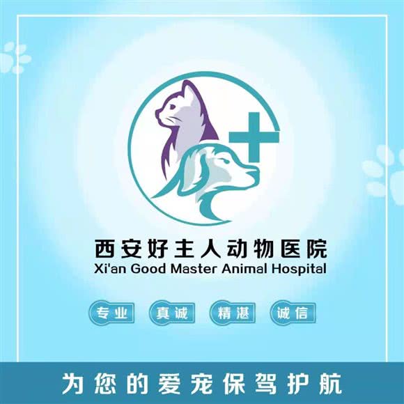 好主人动物医院:西安市雁塔区曲江新区附近