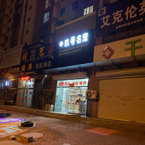 玖号名宠:唐山市路北区南湖金地附近