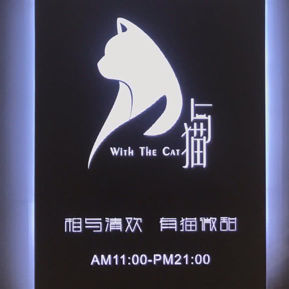 With The Cat  与猫 猫咖:西安市雁塔区小寨附近