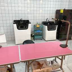 猫公馆:西安市雁塔区小寨附近