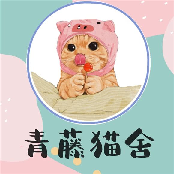 青藤猫舍:西安市雁塔区长安路附近