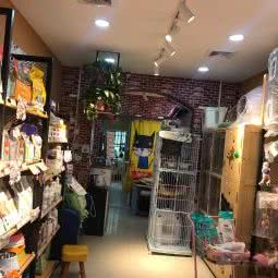 小二娜萌宠馆:西安市雁塔区太白立交附近