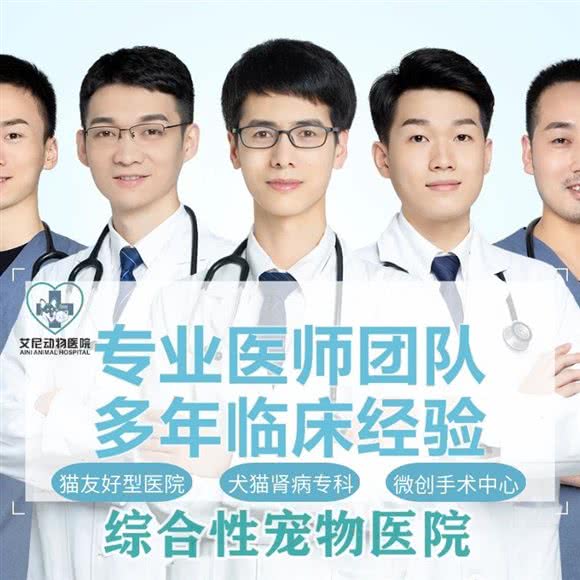 西安艾尼动物医院(内窥镜肾脏眼科手术中心):西安市雁塔区翠华路附近