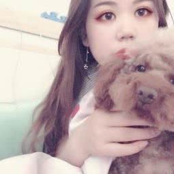 七月宠物:西安市雁塔区电视台/会展中心附近