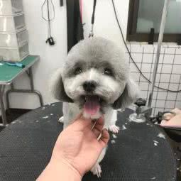 希宠·十家:西安市雁塔区电视台/会展中心附近