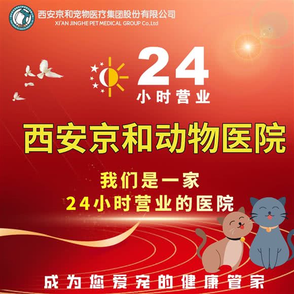 西安京和24十分钟动物医院:西安市雁塔区电视台/会展中心附近