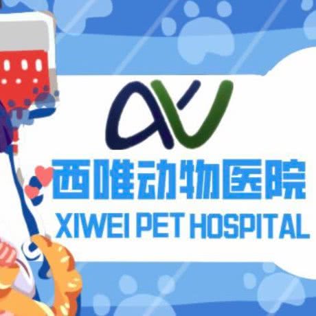 西唯动物医院:西安市雁塔区电视台/会展中心附近