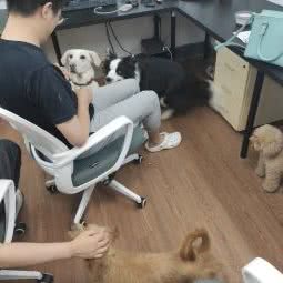 维尔福宠物美食馆:西安市雁塔区南二环西段附近