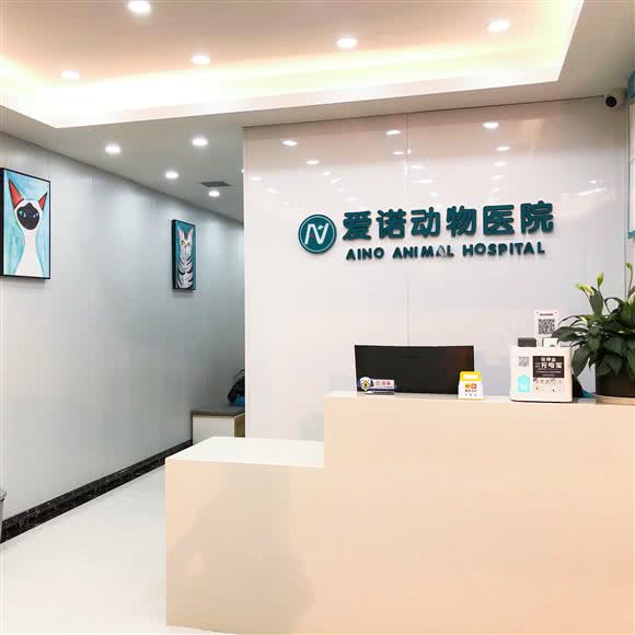 爱诺动物医院:西安市雁塔区吉祥村附近