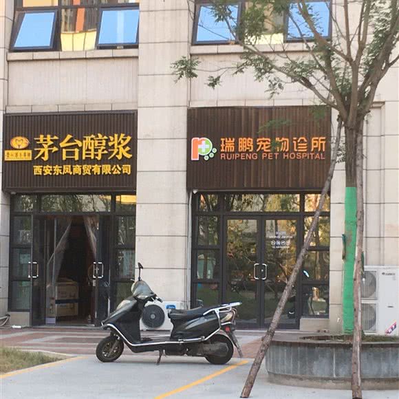 瑞鹏宠物诊所:西安市雁塔区三森附近