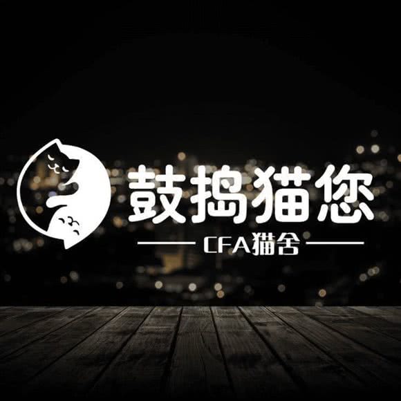 鼓捣猫您【猫舍】:西安市雁塔区含光路南段附近