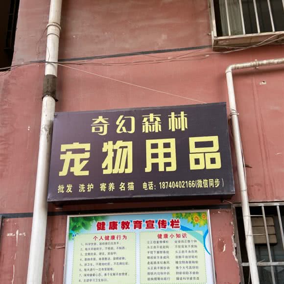 奇幻森林宠物用品:西安市雁塔区西影路附近