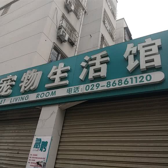 宠物生活馆:西安市阎良区阎良区附近