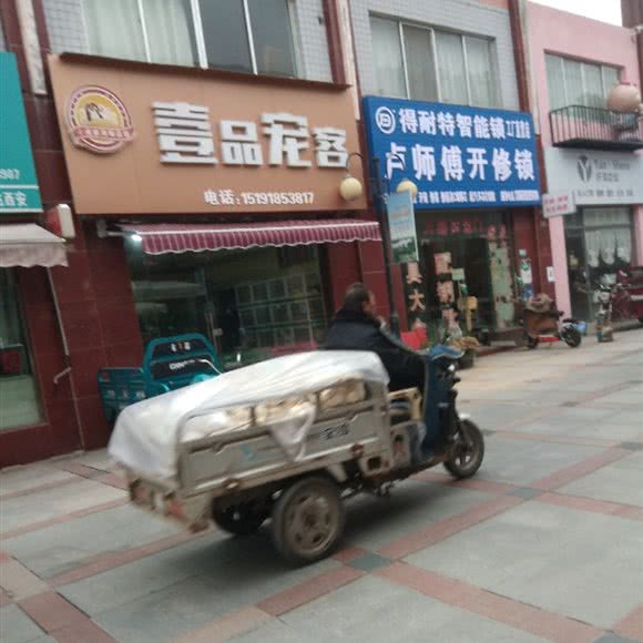 壹品宠客:西安市阎良区阎良区附近