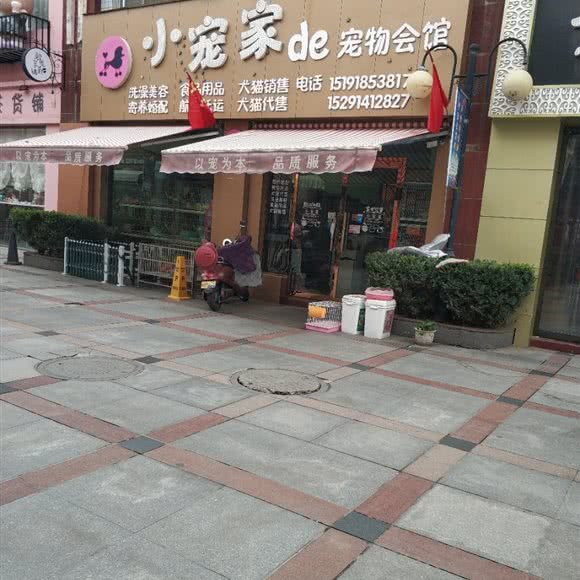 小宠家de宠物会馆:西安市阎良区阎良区附近