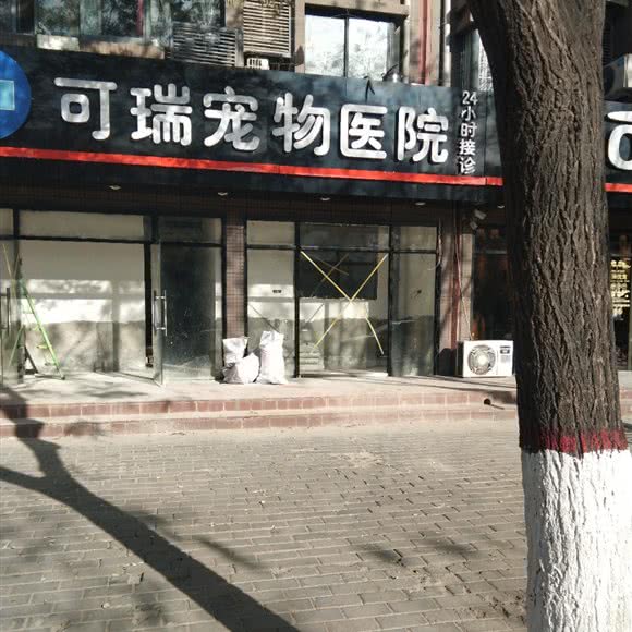 可瑞宠物医院:西安市阎良区阎良区附近