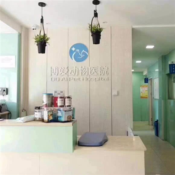 博爱动物医院:西安市阎良区阎良区附近