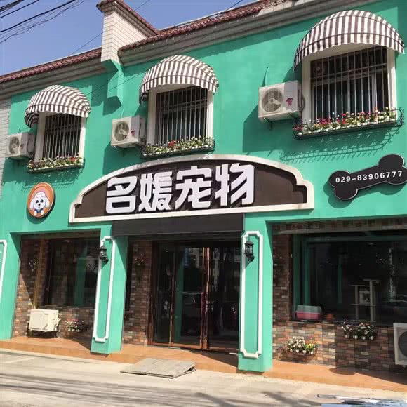 名媛宠物(体育路店):西安市临潼区临潼区附近