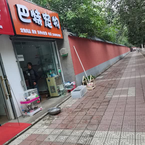 巴特宠物:西安市临潼区临潼区附近
