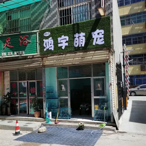 鸿宇萌宠:西安市临潼区临潼区附近