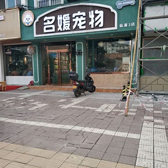 名媛宠物狗:西安市临潼区临潼区附近