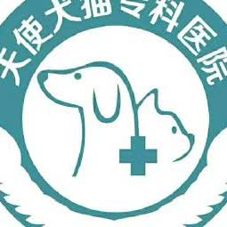 天使犬猫专科医院:西安市临潼区临潼区附近