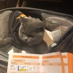 佑宠宠物医疗美容中心:西安市临潼区临潼区附近