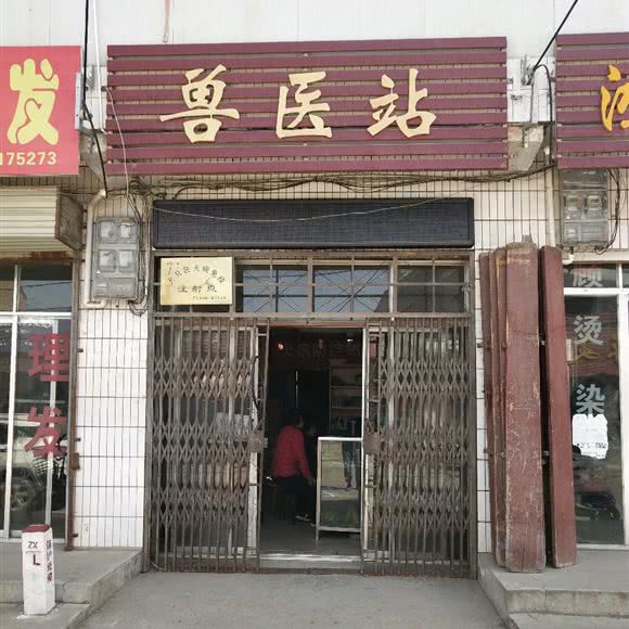 兽医站:西安市临潼区临潼区附近