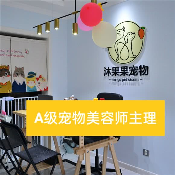 沐果果宠物工作室:西安市长安区南大学城附近