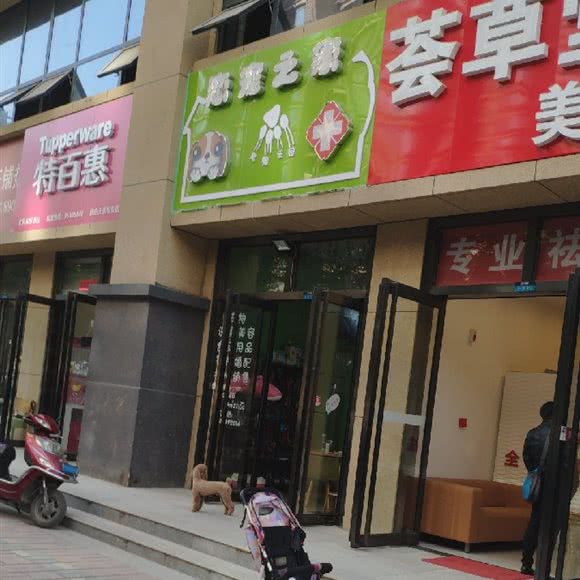恋宠之家:西安市长安区南大学城附近