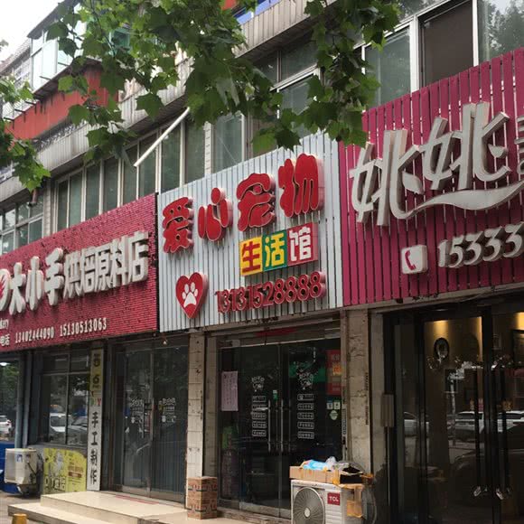 爱心宠物狗生活馆:唐山市古冶区古冶区中心城区附近