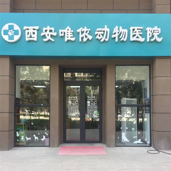 西安唯依动物医院:西安市长安区南大学城附近