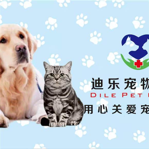 迪乐宠物诊所(长安店):西安市长安区南大学城附近