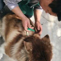 四月宠物服务中心:西安市长安区秦岭沿线附近