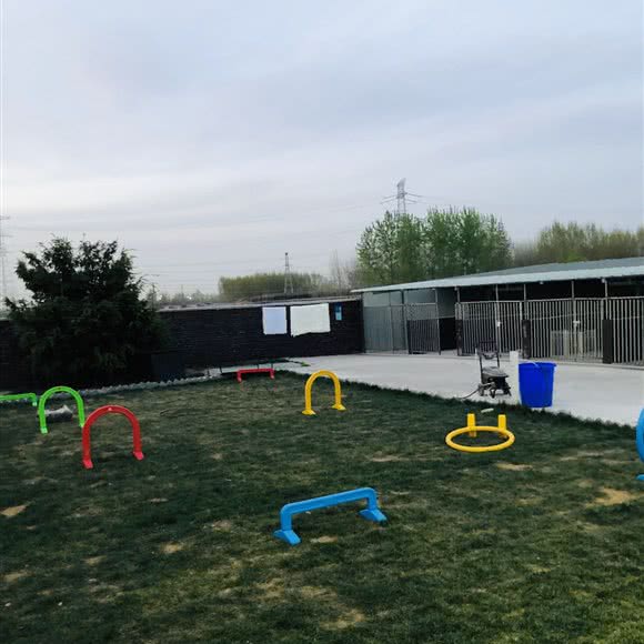 恩宠宠物乐园:西安市长安区秦岭沿线附近