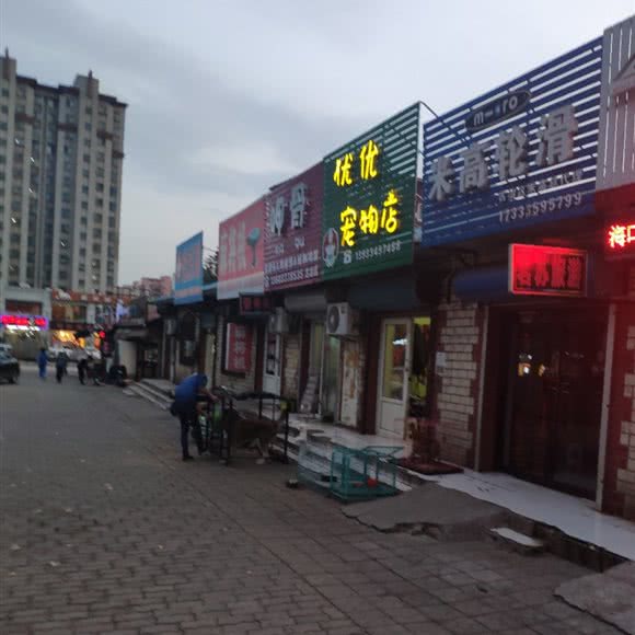 优优宠物店:唐山市古冶区古冶区中心城区附近