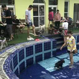 宠林苑·幼儿园:西安市长安区秦岭沿线附近