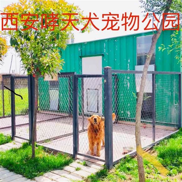西安哮天犬宠物公园:西安市长安区秦岭沿线附近