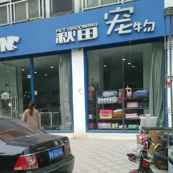 秋田宠物(紫薇店):西安市长安区郭杜附近