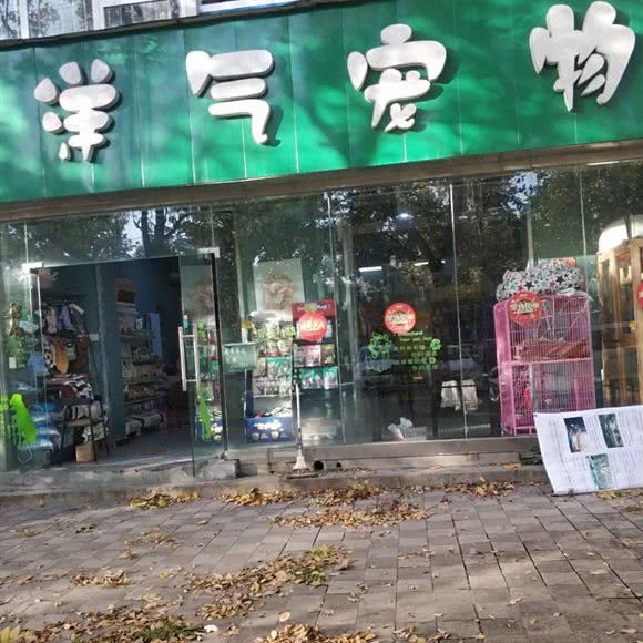 洋气宠物:西安市长安区郭杜附近