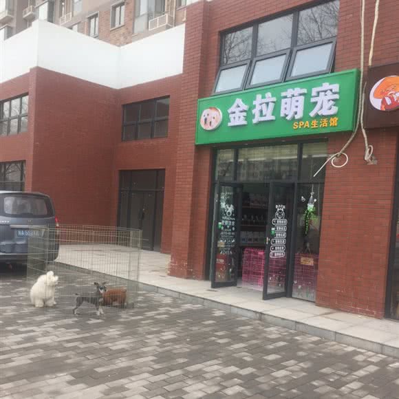 金拉萌宠SPA生活馆:西安市长安区郭杜附近