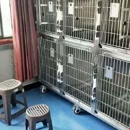 众望宠物医院:西安市长安区郭杜附近