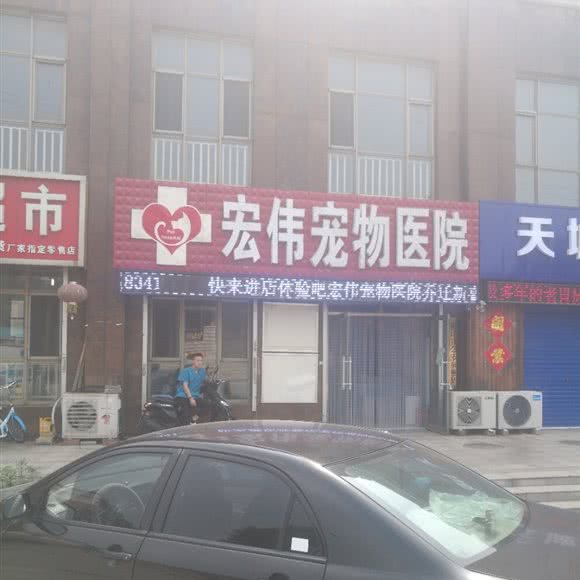 宏伟宠物医院(古冶分院):唐山市古冶区古冶区中心城区附近