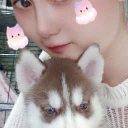 小爪子宠物店:西安市长安区航天城附近