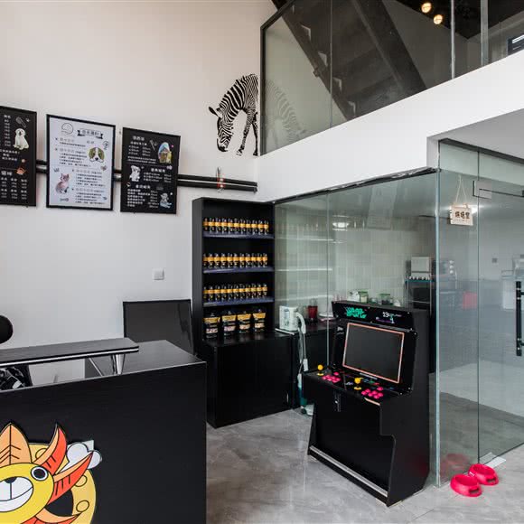 它们说动物生活馆:西安市长安区航天城附近