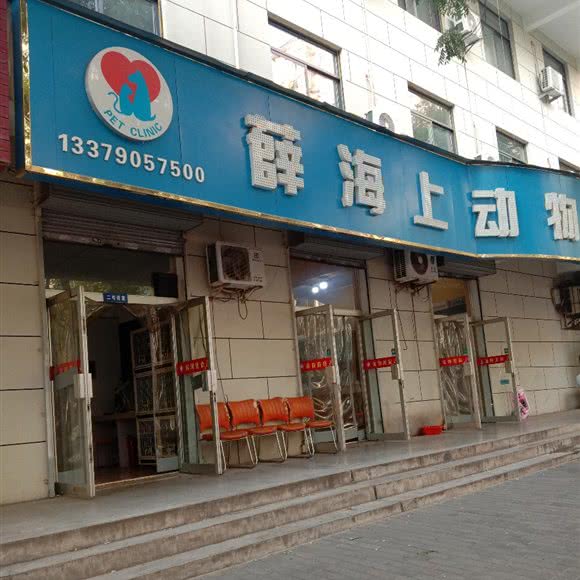薛海上动物医院(新华街店):西安市长安区长安广场附近