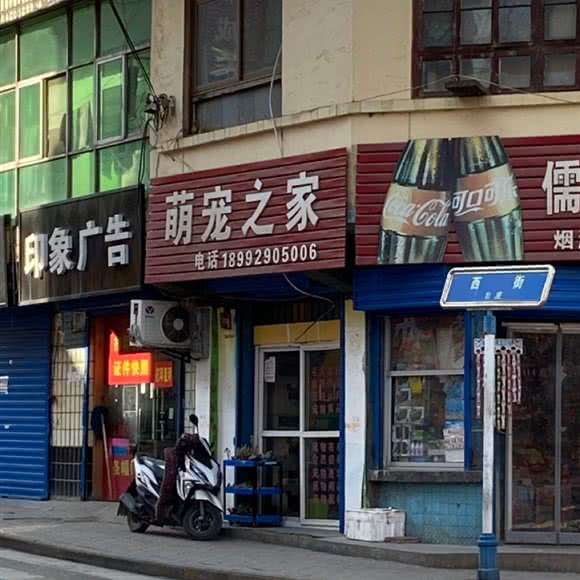 萌宠之家:铜川市印台区北关附近