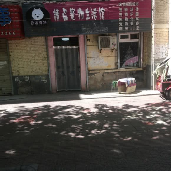 仙迪宠物狗精品宠物生活馆:宝鸡市渭滨区新建路附近